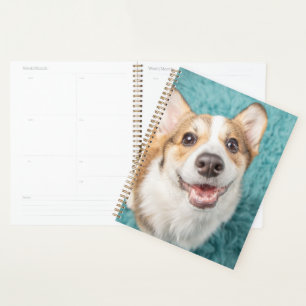 Agenda Bebês Mais Pobres Sorriso De Puppy Corgi