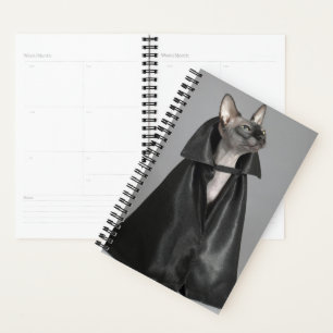 Agenda Bebês Mais Pobres Sphynx Hairless Cat