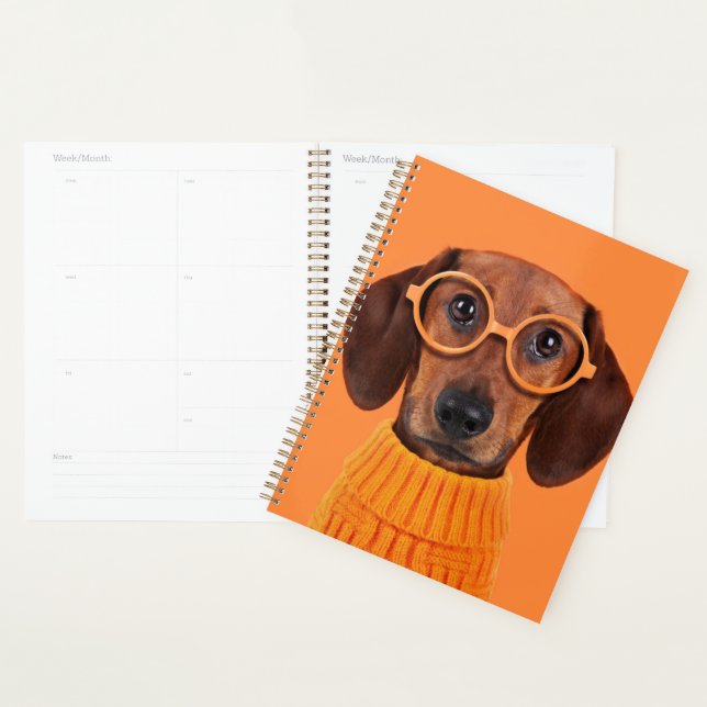 Agenda Bebês Mais Pobres | Suéter de laranja Dachshund (Exibição)
