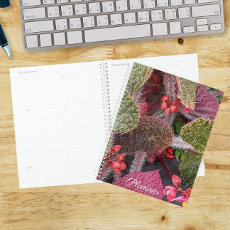 Agenda Begônia Floral Colorida e Peluda