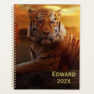 Agenda Bela Tigre