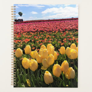 Agenda Belo Campo de Tulipas com Balão de Ar Quente, Oreg