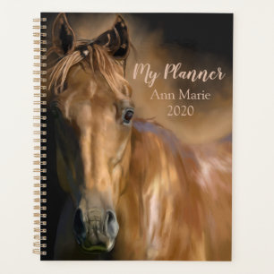 Agenda Belo Cavalo