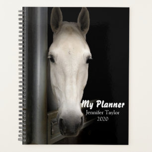 Agenda Belo Cavalo Branco