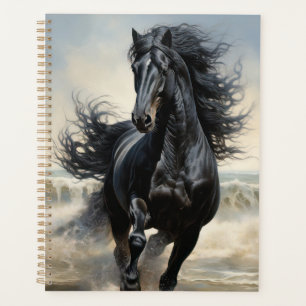 Agenda Belo Cavalo Negro