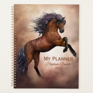 Agenda Belo Cavalo Profundo
