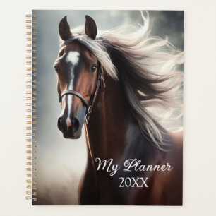 Agenda Belo Equestre