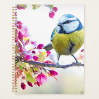 Agenda Belo Primavera Pássaro Planner