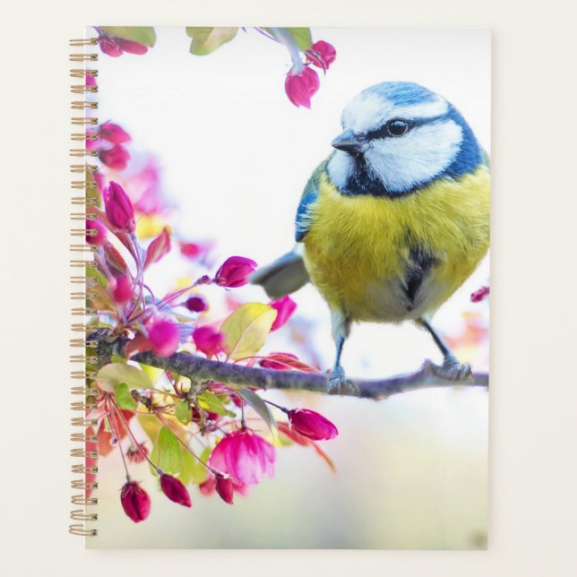 Agenda Belo Primavera Pássaro Planner (Frente)
