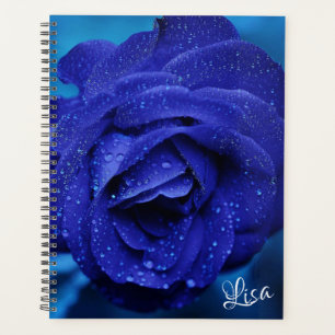 Agenda Belo Rosa azul