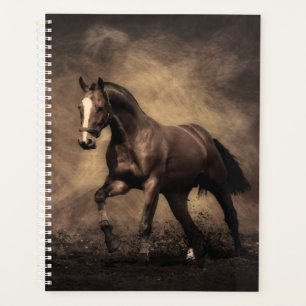 Agenda Belo travesseiro decorativo marrom