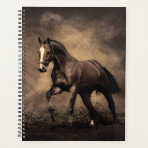 Agenda Belo travesseiro decorativo marrom