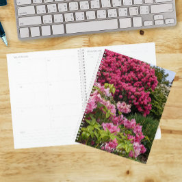 Agenda Belos Rhododendrons Rosa em Flor Flora