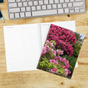 Agenda Belos Rhododendrons Rosa em Flor Flora