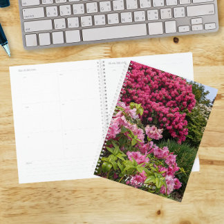 Agenda Belos Rhododendrons Rosa em Flor Flora