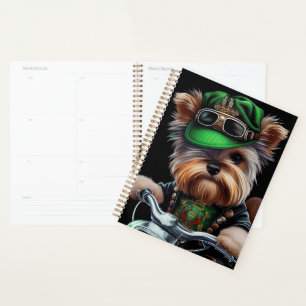 Agenda Biewer Terrier Dog Dirigindo Ruas de bicicleta. Di