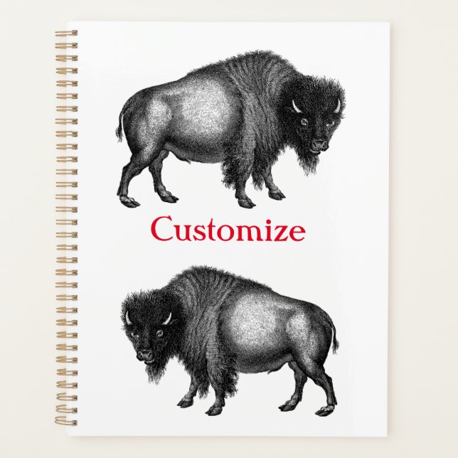 Agenda Big Bison Buffalo Thunder_Cove (Frente)