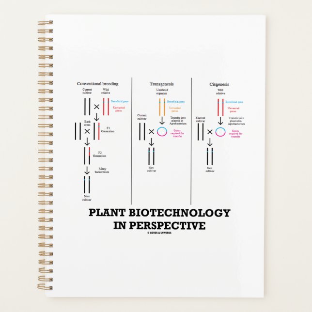 Agenda Biotecnologia Vegetal Em Perspectiva (Transgênese) (Frente)