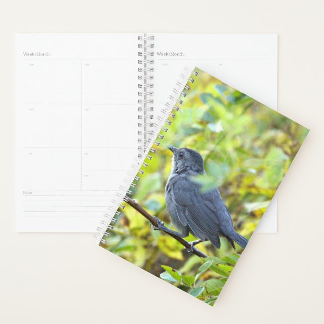 Agenda Bird Photo Planner (Exibição)