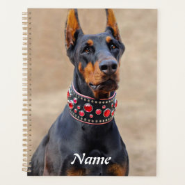 Agenda Black and Tan Doberman Pinscher (Pinscher preto e 