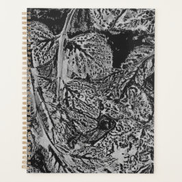 Agenda Black leafs