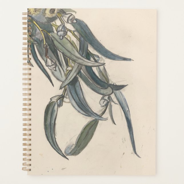 Agenda Bloeiende tak van een eucalyptus (Frente)