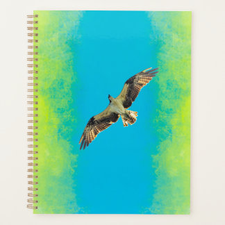 Agenda Blue and yellow