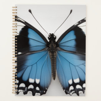 Agenda Blue butterfly planner