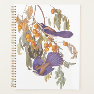 Agenda Blue Florida Scrub Jay Audubon Birds com Laranjas