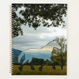 Agenda Blue Ridge Horse Cades Cove