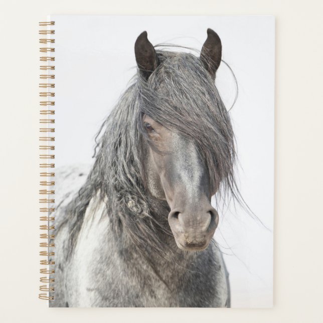 Agenda Blue Zeus Planner (Frente)