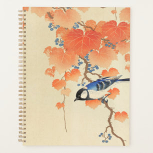 Agenda Bluebird em árvore Paulownia