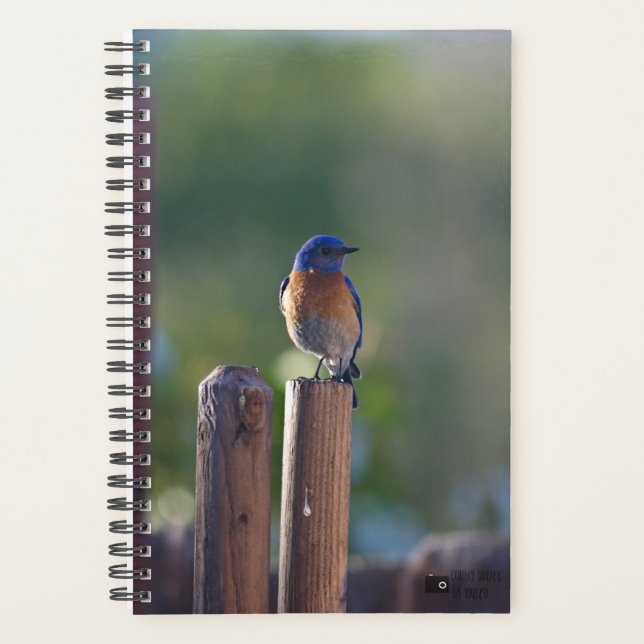 Agenda Bluebird Planner (Frente)