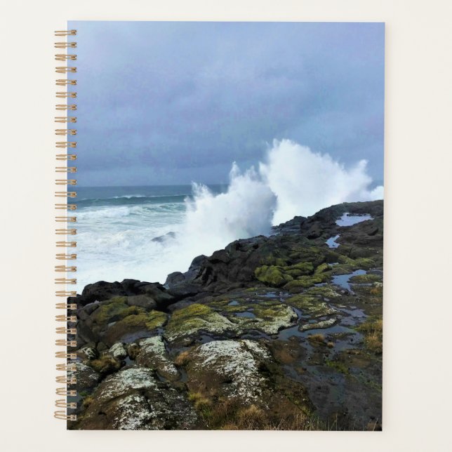 Agenda Boiler Bay State Wayside, Depoe Bay, Oregon (Frente)