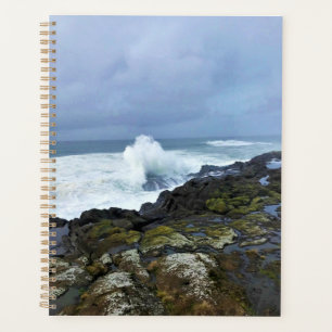 Agenda Boiler Bay State Wayside, Depoe Bay, Oregon