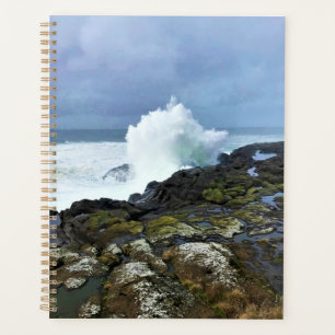 Agenda Boiler Bay State Wayside, Depoe Bay, Oregon