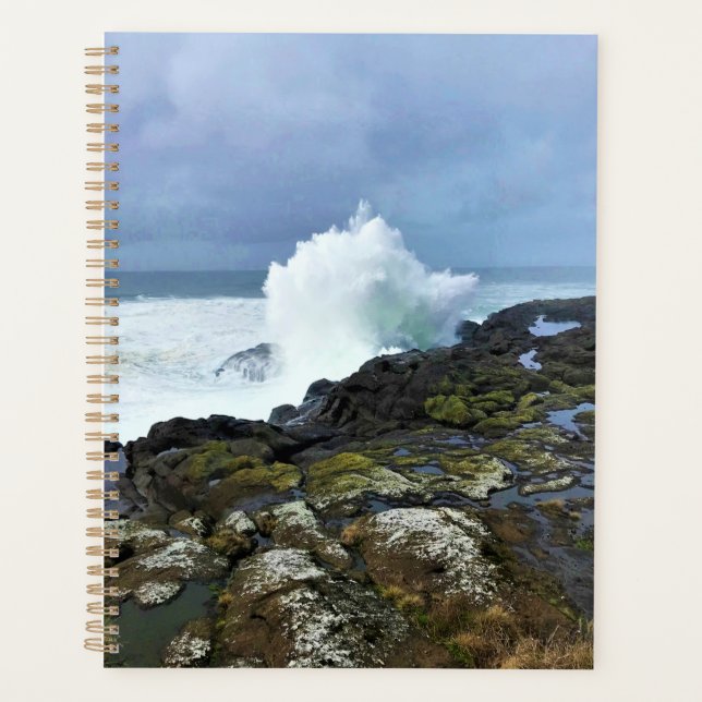 Agenda Boiler Bay State Wayside, Depoe Bay, Oregon (Frente)