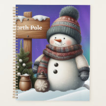 Bonito boneco de neve no Polo Norte com luzes de n