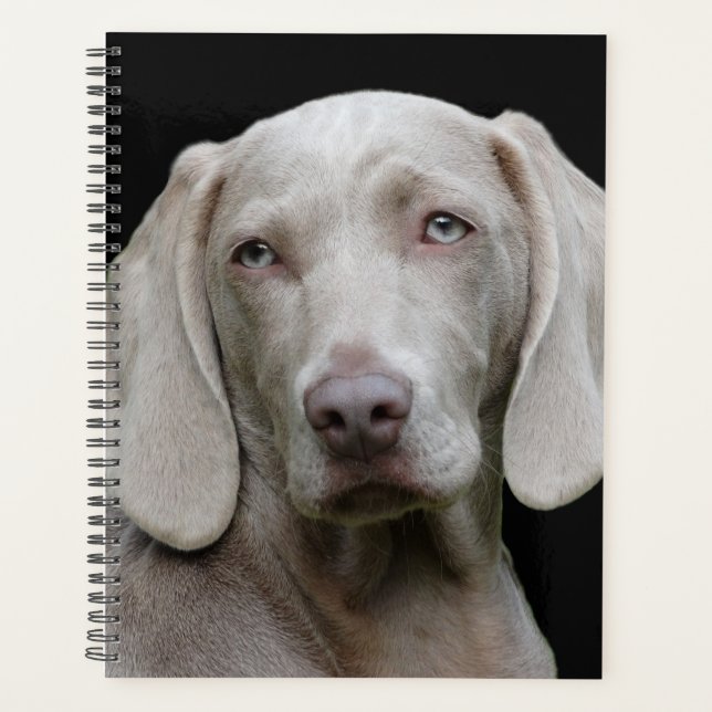 Agenda Bonito Cão Caçador de Weimaraner (Frente)