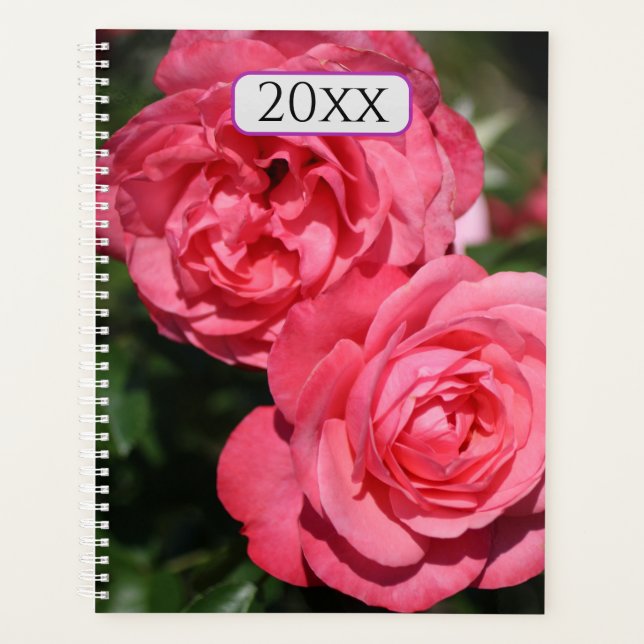 Agenda Bonito Rosas Rosa, Ano Frio Personalizado Mensalme (Frente)