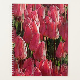 Agenda Bonito Tulipas Rosa