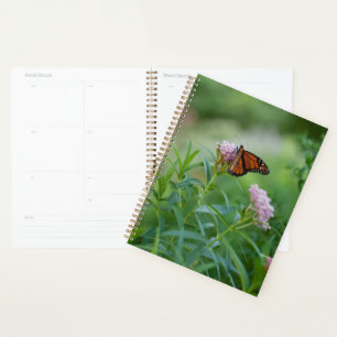 Agenda Borboleta Monarca
