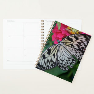 Agenda Borboleta Paperkite