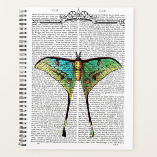 Agenda Borboleta vibrante