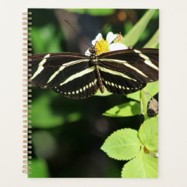 Agenda Borboleta Zebra Longwing
