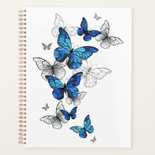 Agenda Borboletas Azuis Morpho