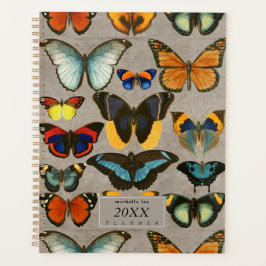 Agenda Borboletas Vintage Entomologia Biologia Colorida