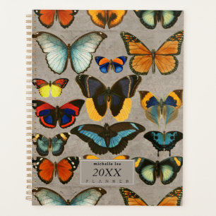 Agenda Borboletas Vintage Entomologia Biologia Colorida