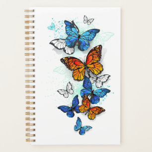 Agenda Borboletas voadoras Morpho e Monarca