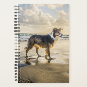 Agenda Border Collie Beach   Cão